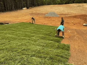 Workers installing green sod rolls over graded red clay soil with a pile of fill material and wooded background